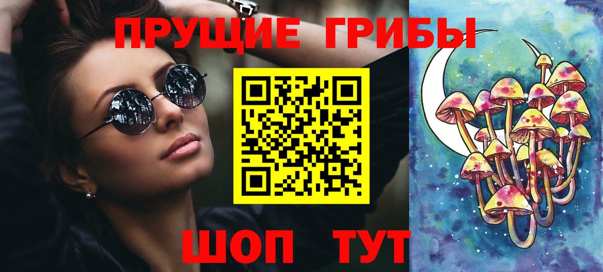 Псилоцибиновые грибы Psilocybine cubensis Омск